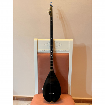 Instrumente  Muzikore